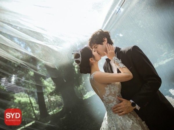 Best Pre Wedding Photography Sydney