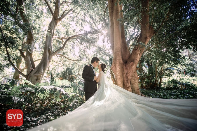 Best Pre Wedding Photography Sydney