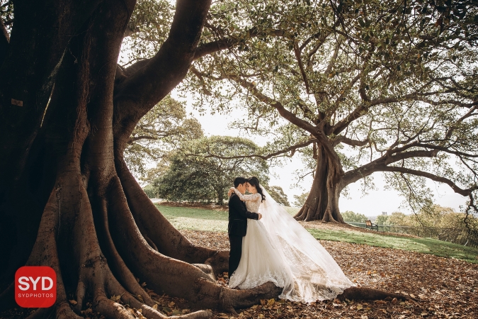 Best Pre Wedding Photography Sydney | Pre Wedding Photoshoot Sydney