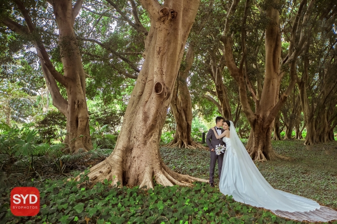 Best Pre Wedding Photography Sydney