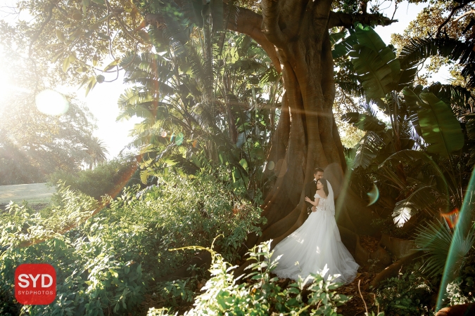 Best Pre Wedding Photography Sydney