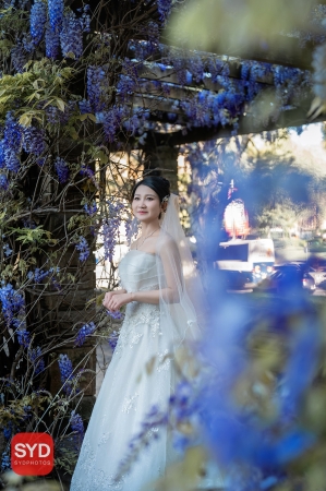 Best Pre Wedding Photography Sydney | Pre Wedding Photoshoot Sydney