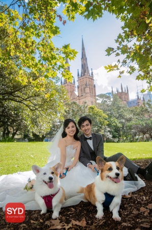 Best Pre Wedding Photography Sydney | Pre Wedding Photoshoot Sydney