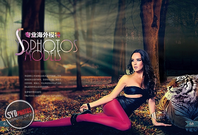 Photographers Portfolios