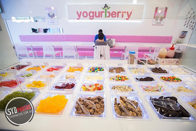 Photographers Portfolios