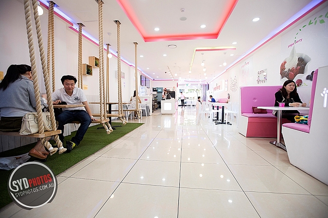 Photographers Portfolios