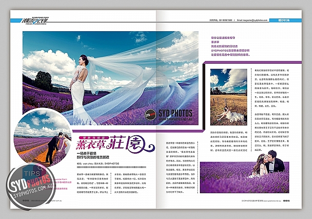 Photographers Portfolios