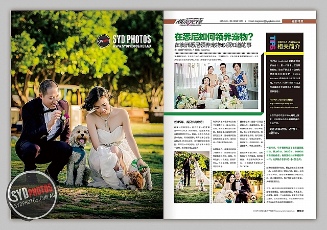 Photographers Portfolios