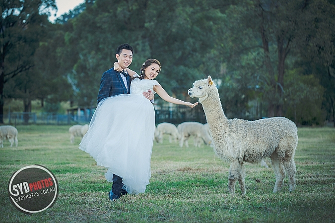 Best Pre Wedding Photography Sydney | Pre Wedding Photoshoot Sydney