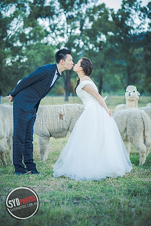 Best Pre Wedding Photography Sydney | Pre Wedding Photoshoot Sydney