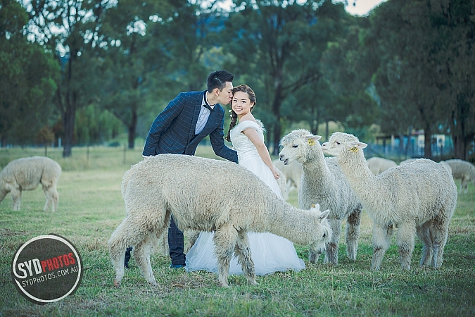 Best Pre Wedding Photography Sydney | Pre Wedding Photoshoot Sydney