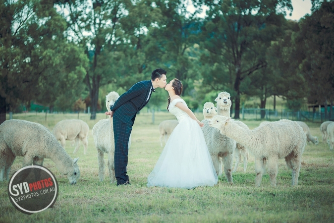澳洲旅拍婚纱照|悉尼旅拍婚纱|海外婚纱旅拍