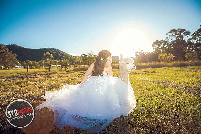 Best Pre Wedding Photography Sydney | Pre Wedding Photoshoot Sydney