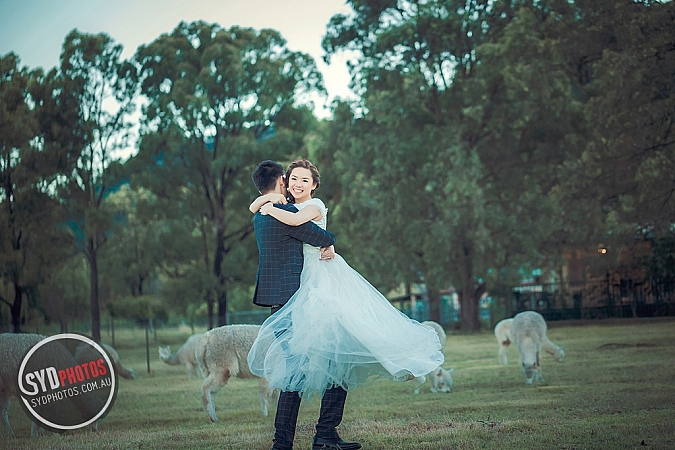 Best Pre Wedding Photography Sydney | Pre Wedding Photoshoot Sydney