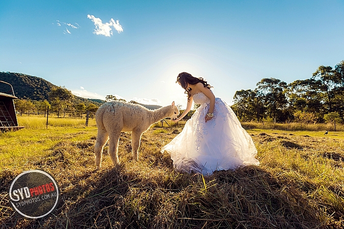 Best Pre Wedding Photography Sydney | Pre Wedding Photoshoot Sydney