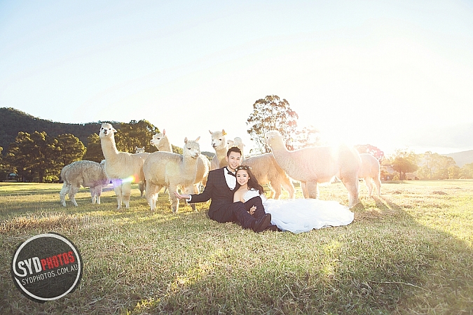 Best Pre Wedding Photography Sydney | Pre Wedding Photoshoot Sydney