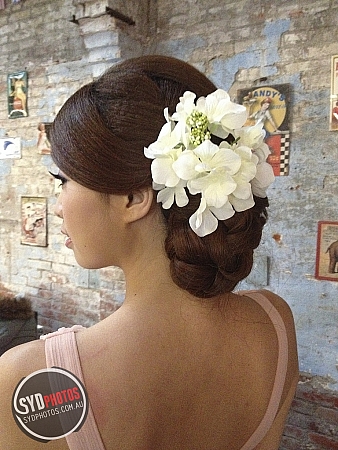 Stylists Portfolios