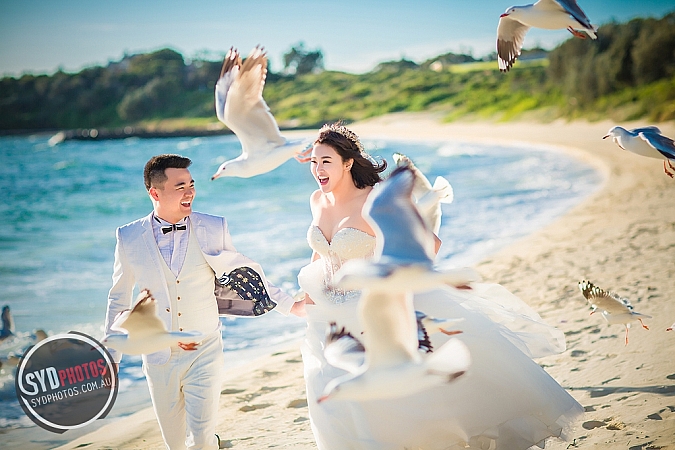 Best Pre Wedding Photography Sydney | Pre Wedding Photoshoot Sydney