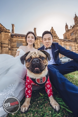 Best Pre Wedding Photography Sydney | Pre Wedding Photoshoot Sydney