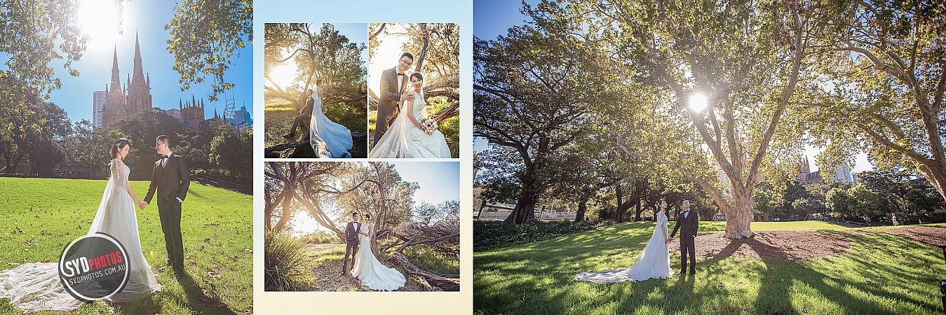 Photographers Portfolios