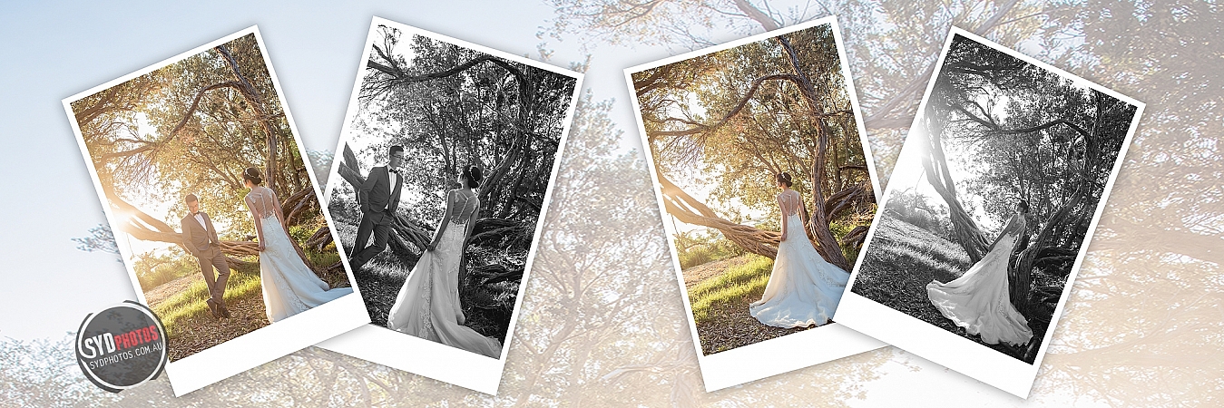 Photographers Portfolios