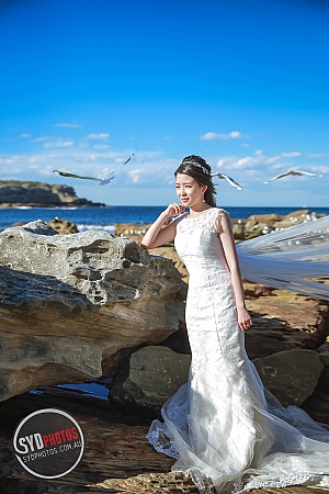 Photographers Portfolios