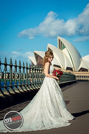 Photographers Portfolios