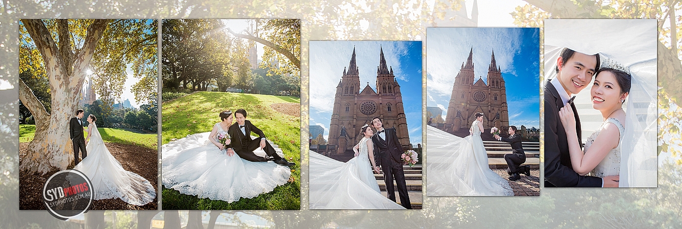Photographers Portfolios