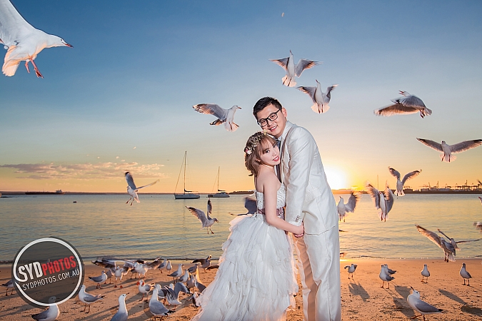 Photographers Portfolios