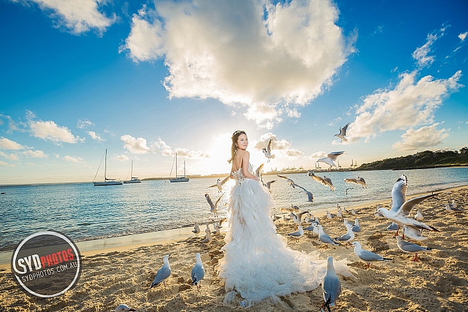 Photographers Portfolios