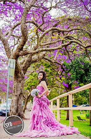 Photographers Portfolios