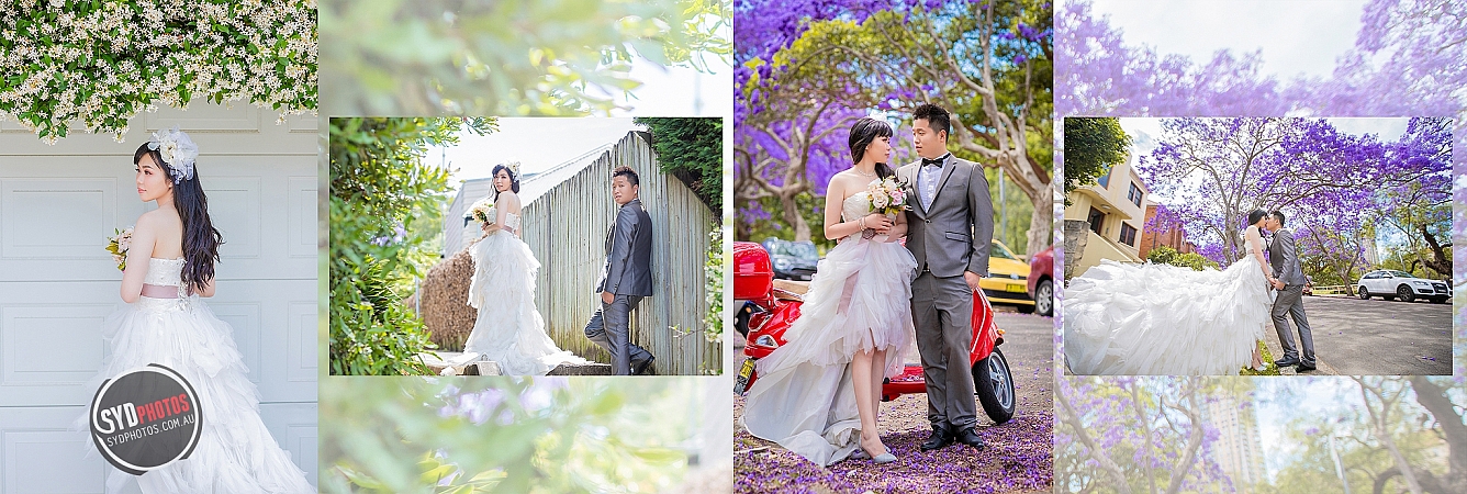 Photographers Portfolios