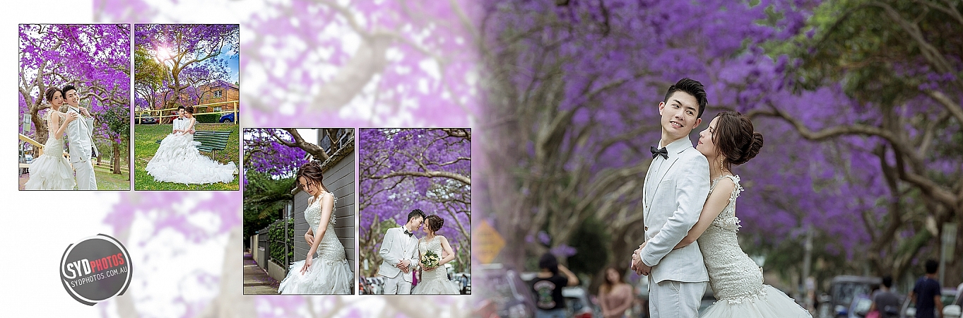 Photographers Portfolios