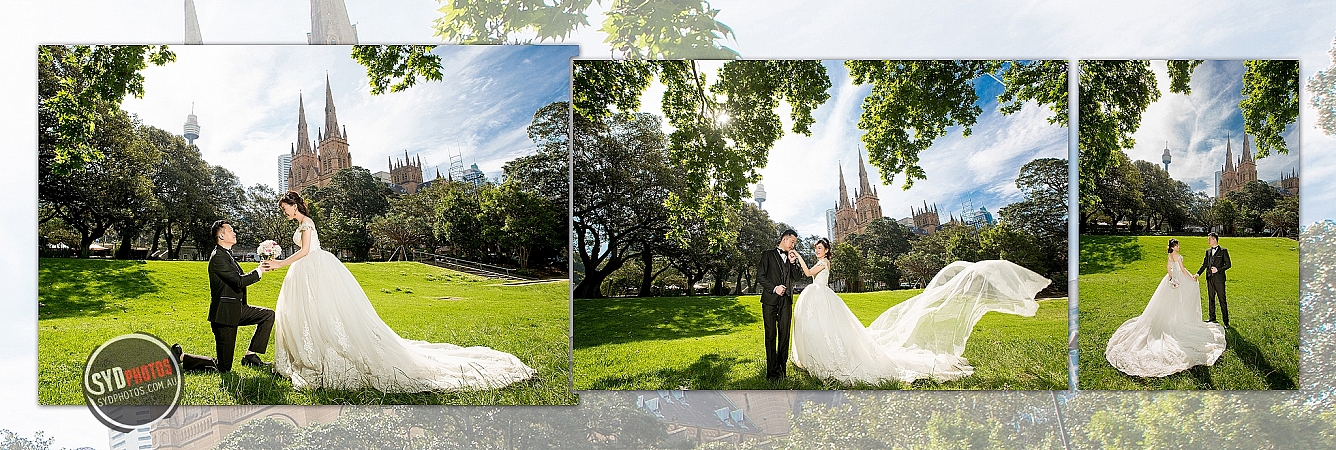 Photographers Portfolios