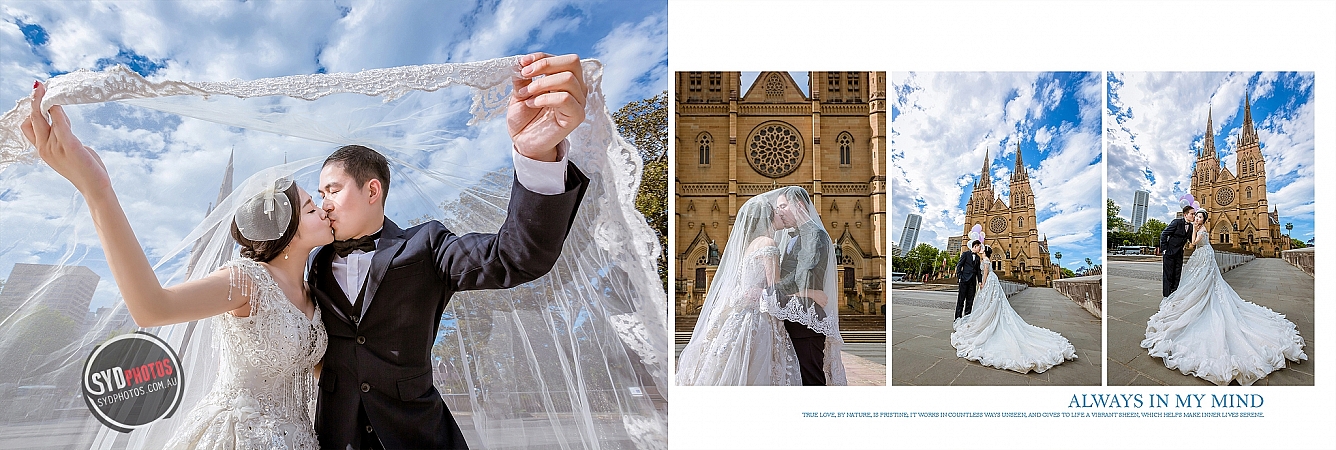 Photographers Portfolios