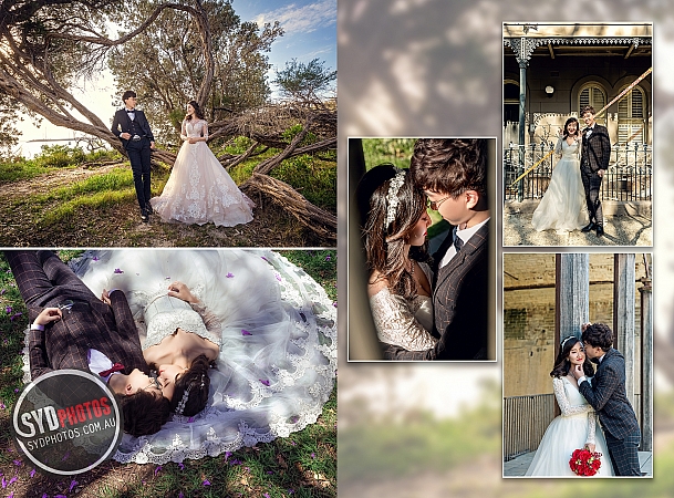 Photographers Portfolios