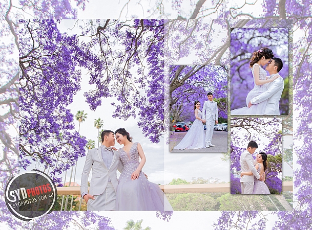 Photographers Portfolios