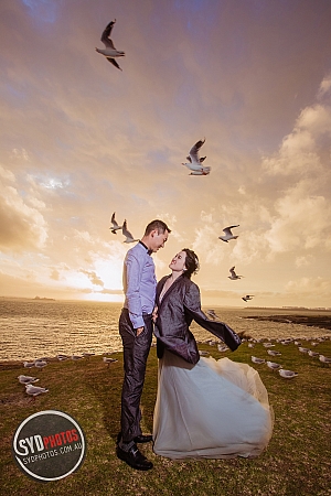 Photographers Portfolios