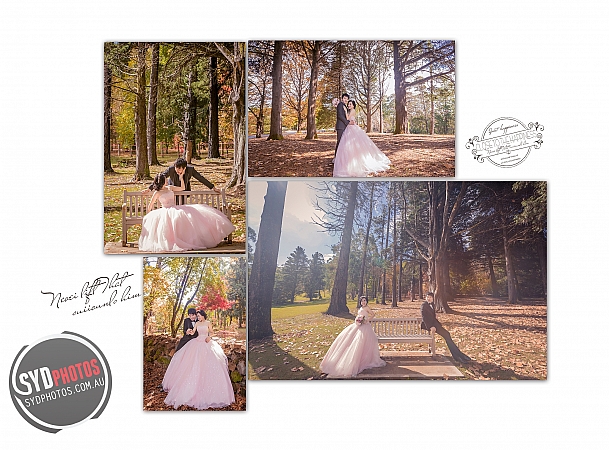 Photographers Portfolios