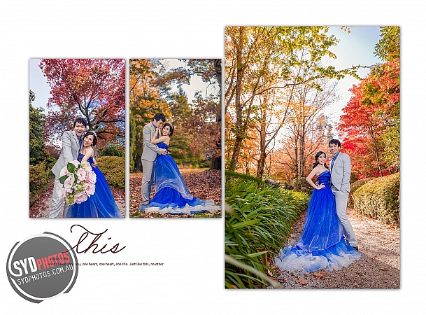 Photographers Portfolios