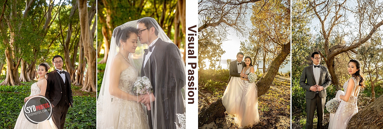 Photographers Portfolios