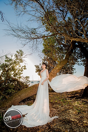Photographers Portfolios