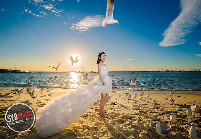Photographers Portfolios