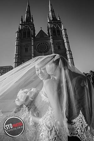 Photographers Portfolios