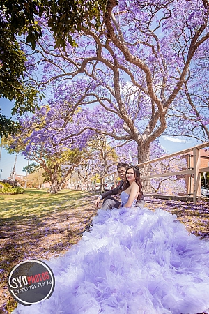 Photographers Portfolios