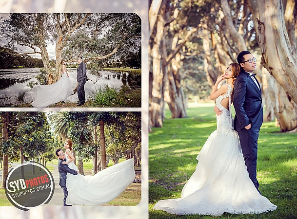 Photographers Portfolios