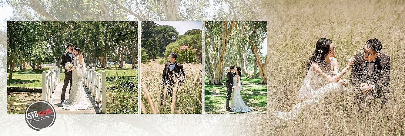Photographers Portfolios