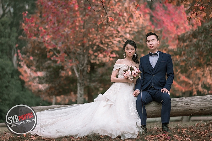 Best Pre Wedding Photography Sydney | Pre Wedding Photoshoot Sydney