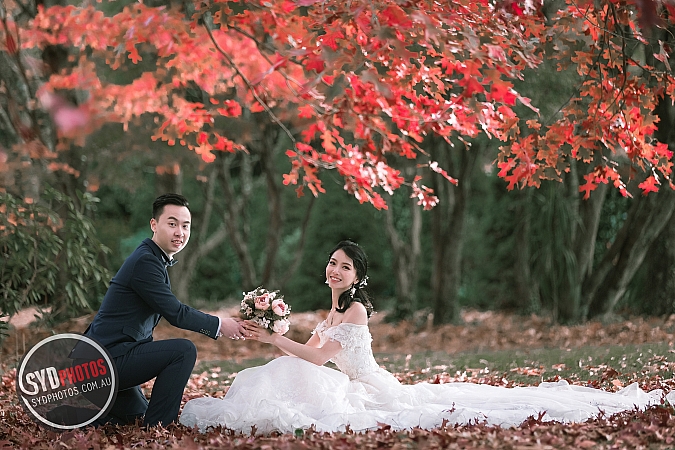 Best Pre Wedding Photography Sydney | Pre Wedding Photoshoot Sydney