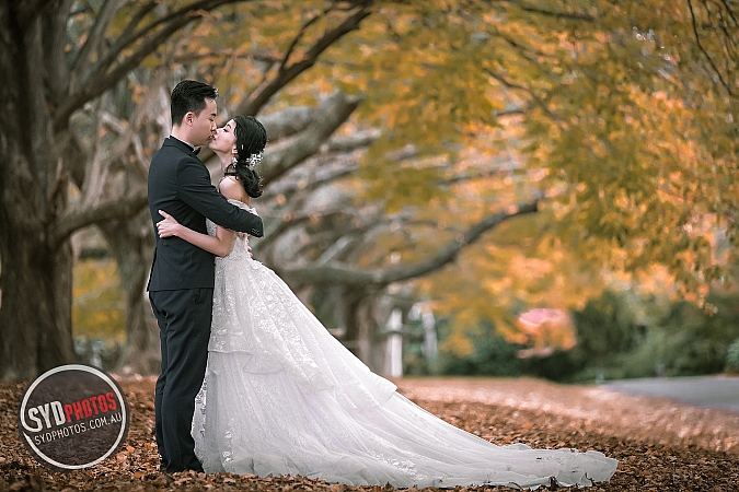 Best Pre Wedding Photography Sydney | Pre Wedding Photoshoot Sydney